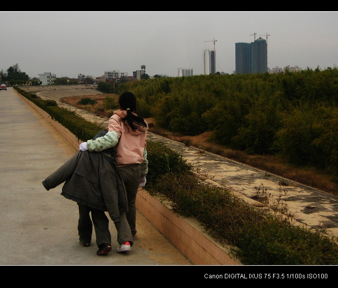 ���ߵ�ĸ��֮��