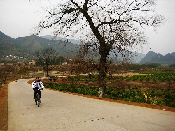 �����Ϸ�������