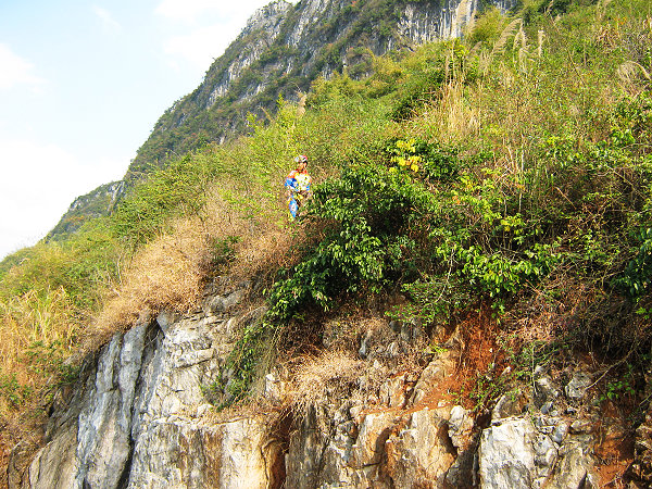 �ּ����տ���