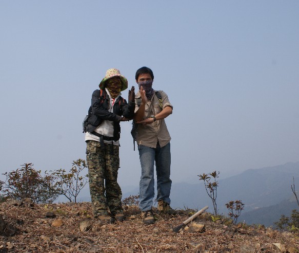 ɵ������������