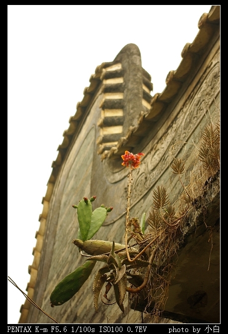 ����֮��