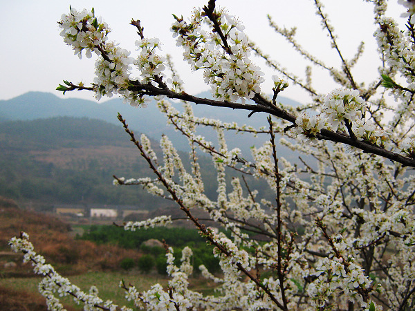 ���˵�����ˡ�