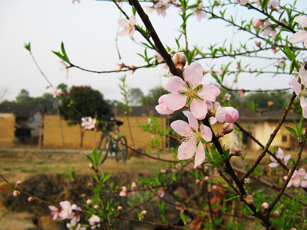 ���˵��һ����ˡ�