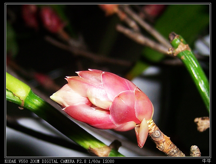 ���ӻ� 4.jpg