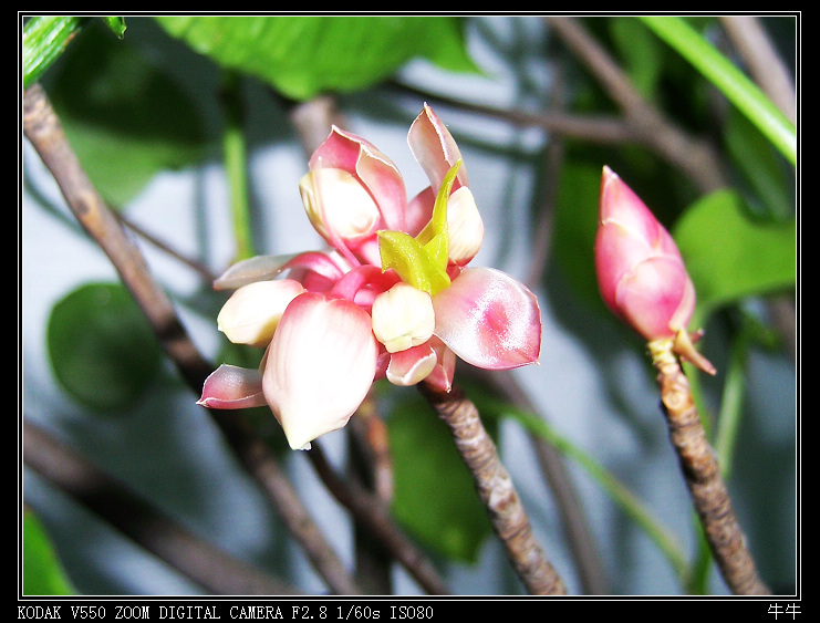 ���ӻ� 1.jpg