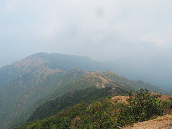 Զ������ͷ���ұ߱��������ִ���