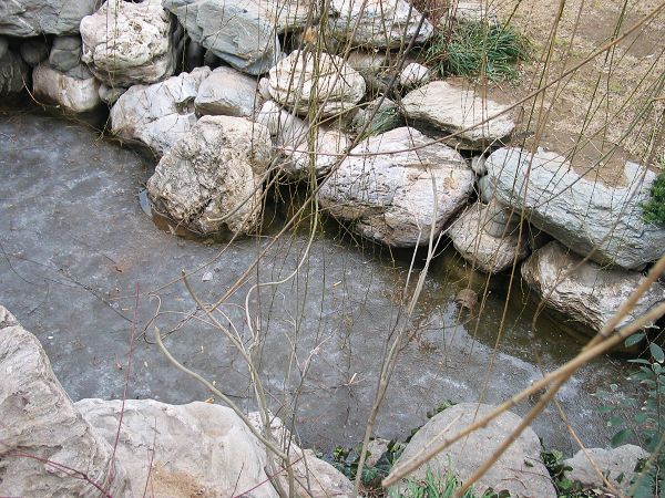 ���˱���СϪ