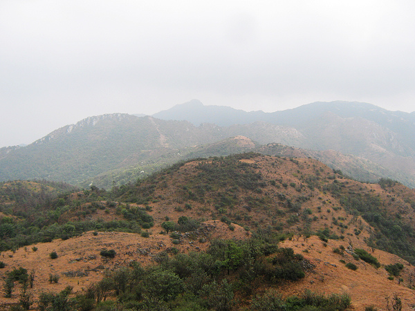 Զ�����ٶ�