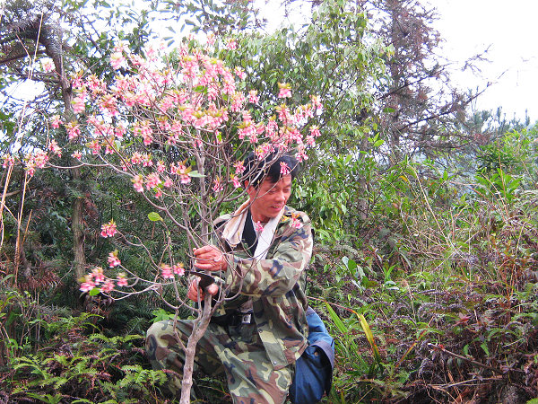 ���ֿ��µ��ӻ����򵼵�Ц���Ȼ�����Ҫ����