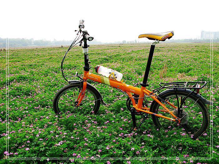 nEO_IMG_3�ҵ�man go�ڻ�����.jpg