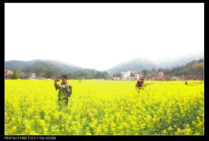 ���ɫ�ĺ�������������