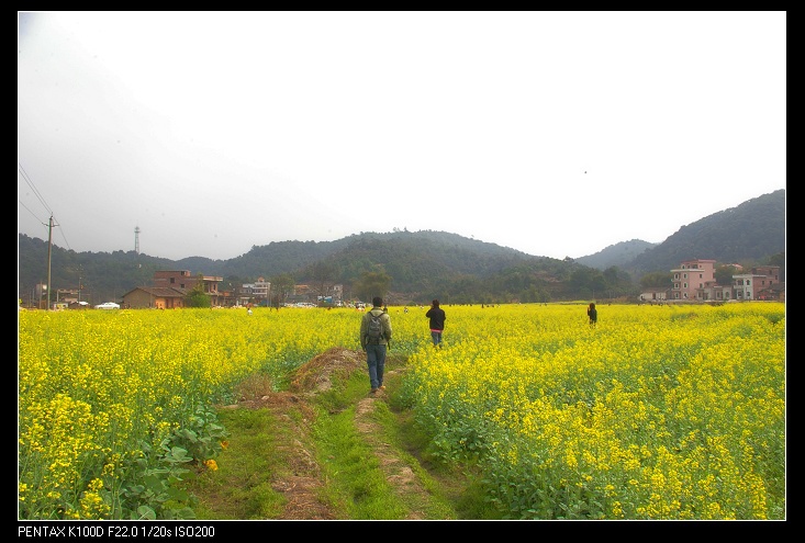 �����е�С·