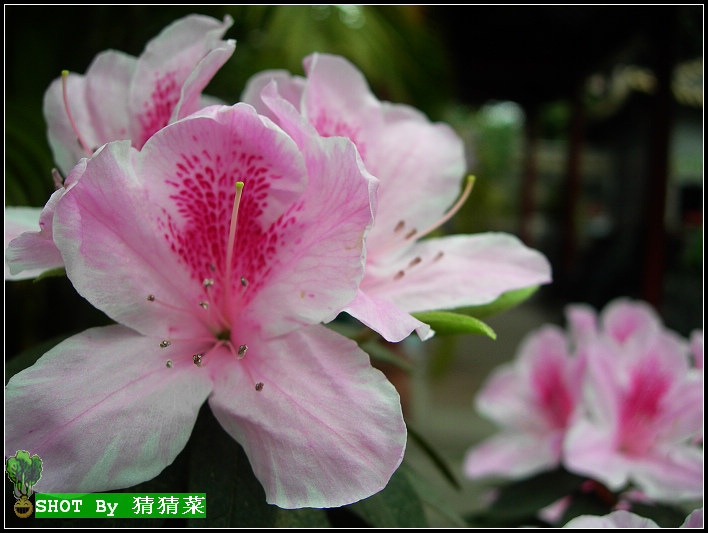 �ߴ��Ļ��������ĵĿ�