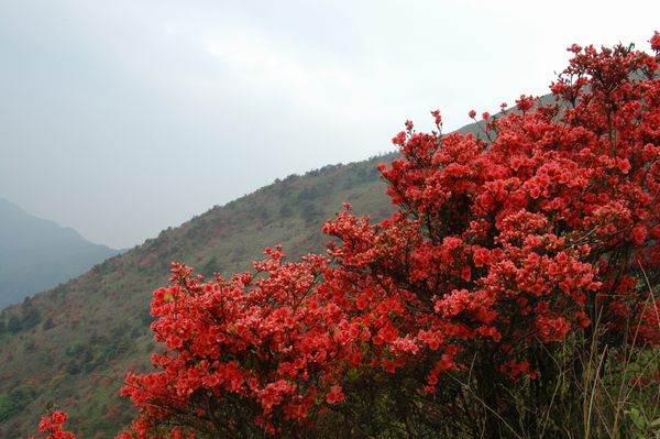 ͨ�������Ұ���ž���