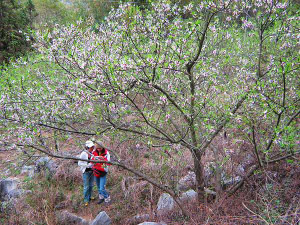 �����һ���ӳ��