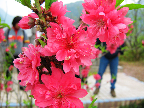 �һ������һ�