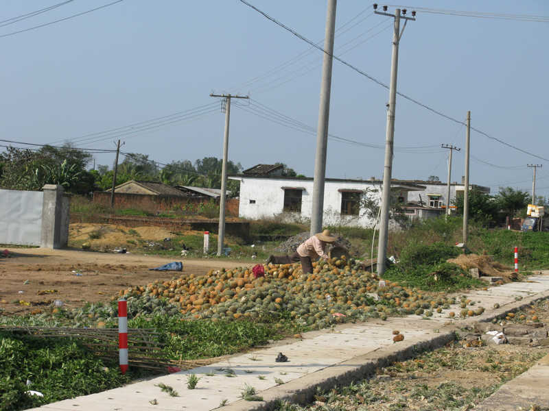 ��һ�ۿ���ʱ�ұ��׵���