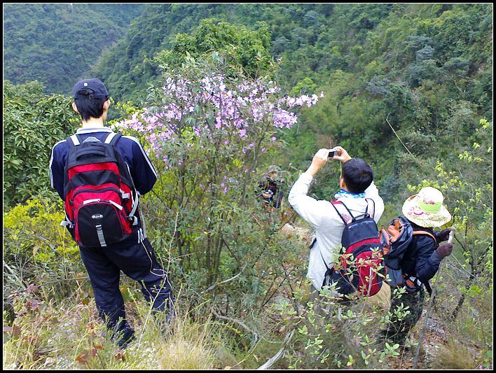 ��ɽ��Ұ�Ķž黨