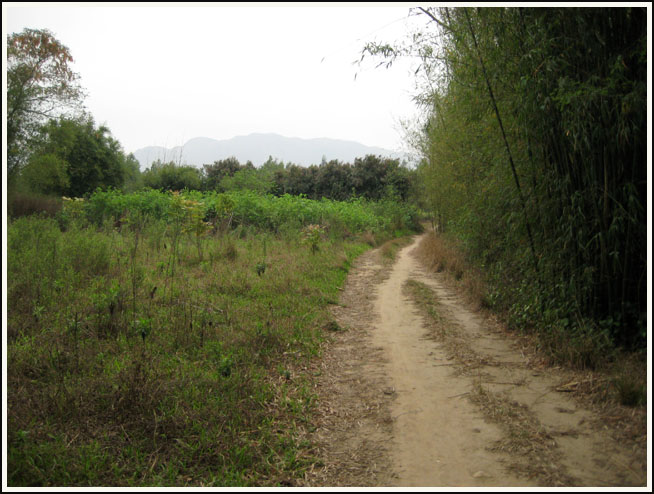 һ��ֵ��̽����·