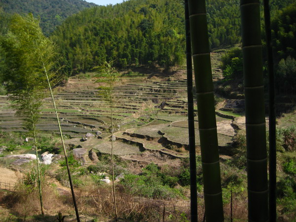 ��������԰���