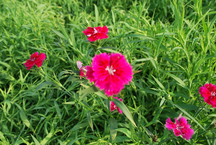 ���̴���