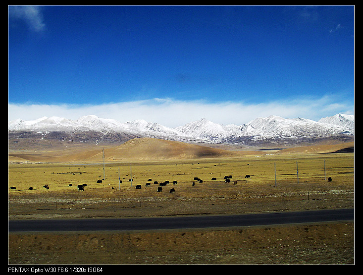 �����·��ɫ