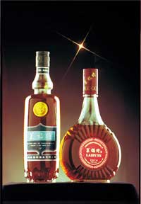 ������Ӱ����