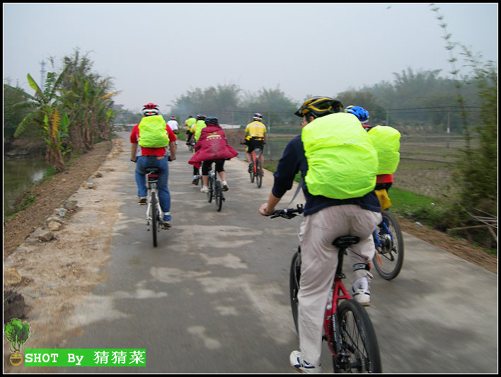 ���Ź������а���ӫ��ɫ�����£���һ���Ϊ��ө��桱��