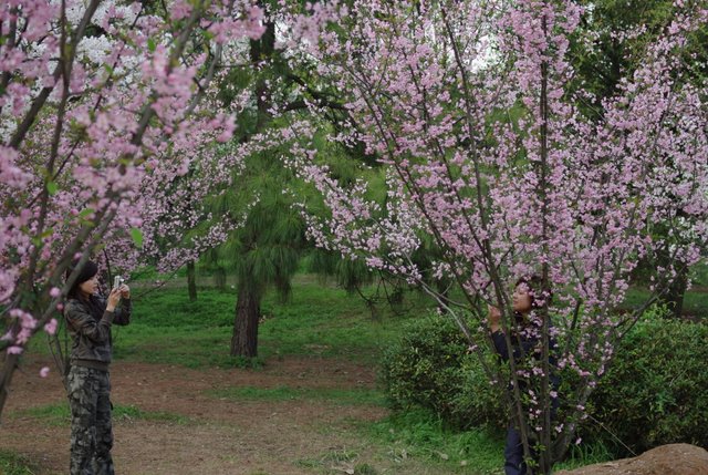 �����һ��໥��ӳ