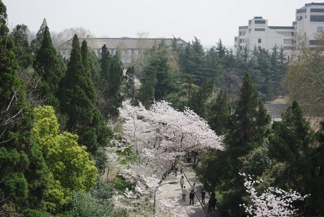 ������ӣ���������Ů������¥�����Ա������Ͱɣ���̨��Ů�������ǳ���������Ҳ�ÿ�������Ҳ�ڿ�~~