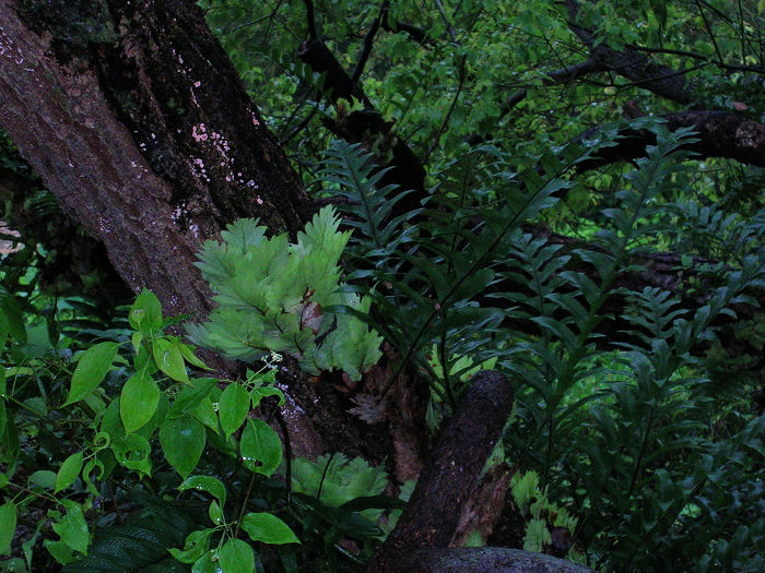 �����ڹ������ϵ�ֲ�