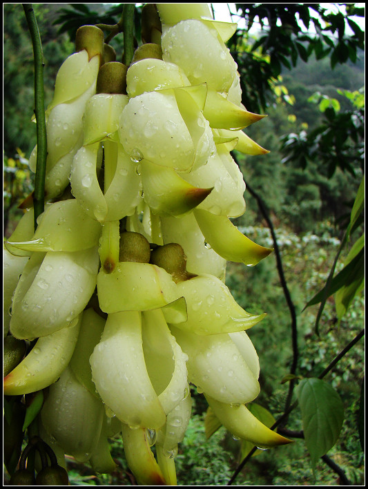 һ���ĺ�ȸ��