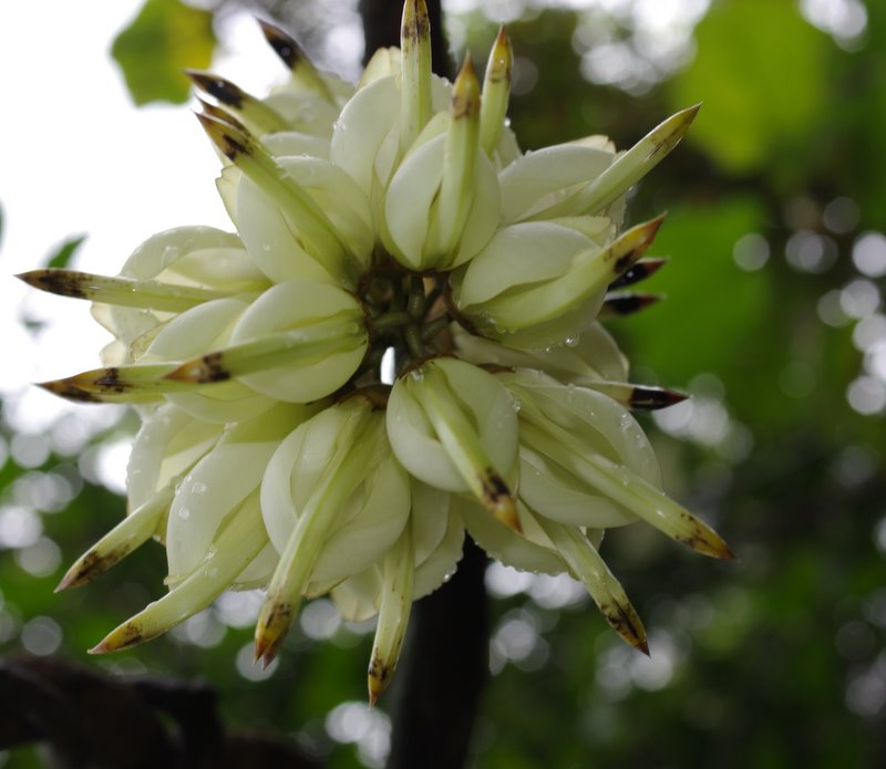 �����һ����