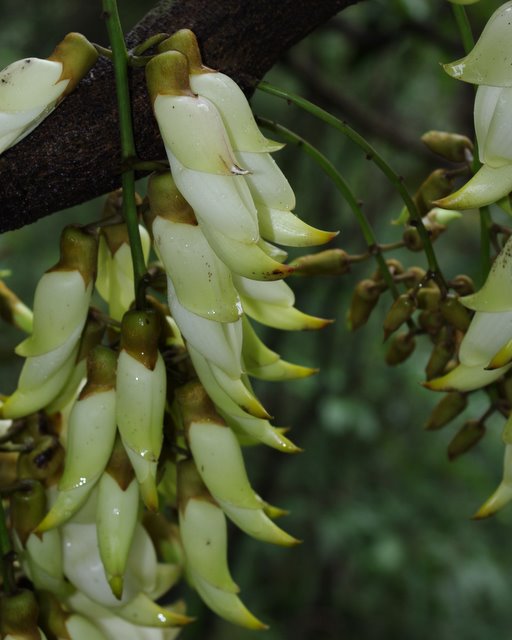 ˮ����Ŀɰ�