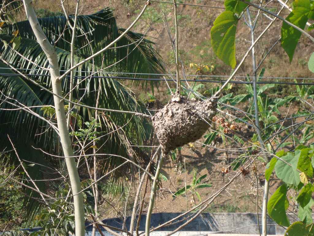 ���ϳ��� 257.JPG