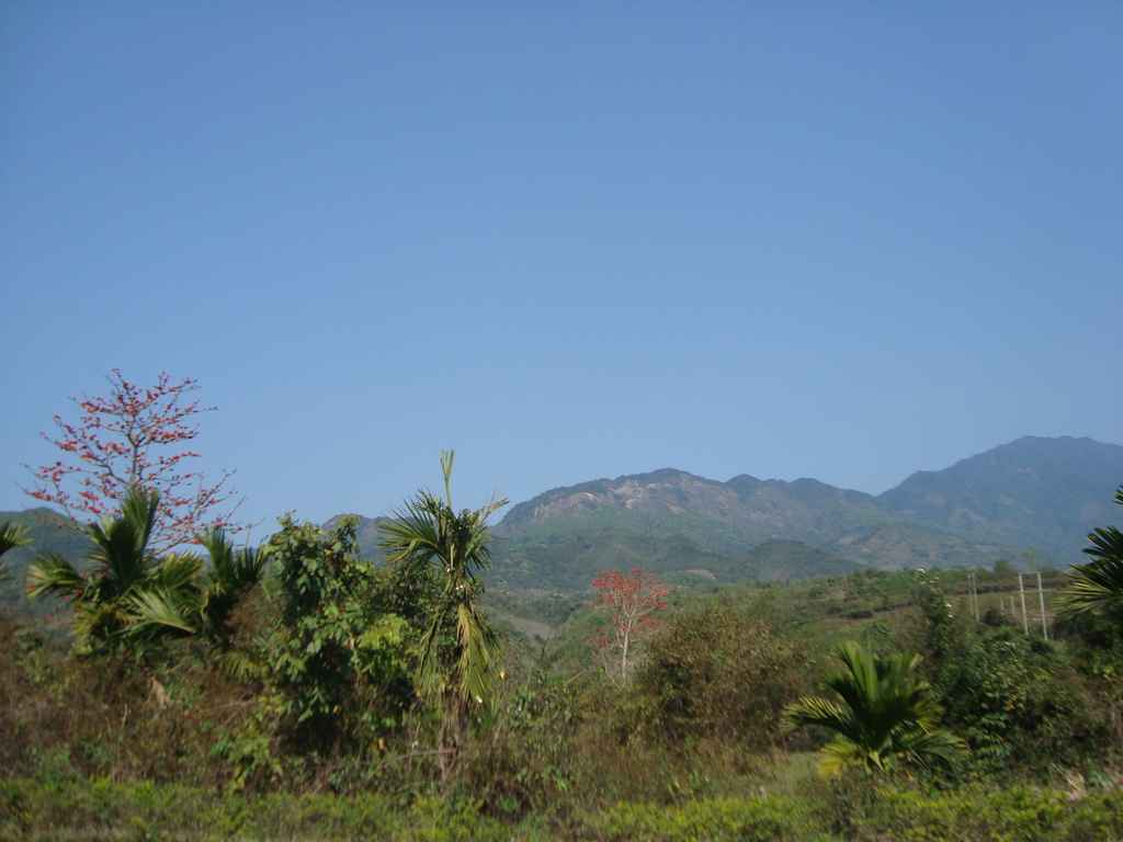 ���ϳ��� 261.JPG