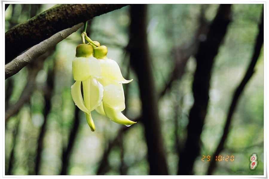 ������¶��ĺ�ȸ��