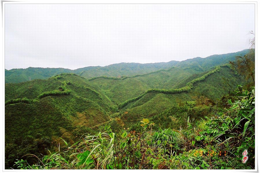 �ܴ�����ɽ�����зֽ���