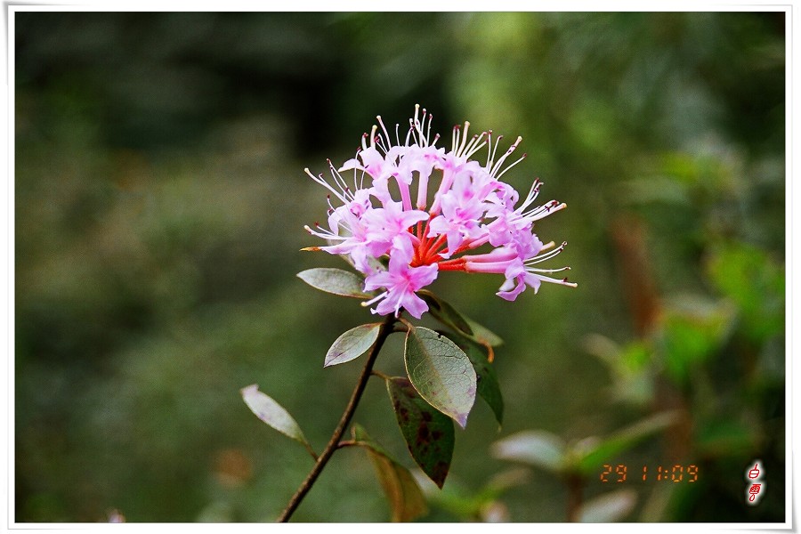 ��֪���Ļ�������ʶ�����Ѹ�֪