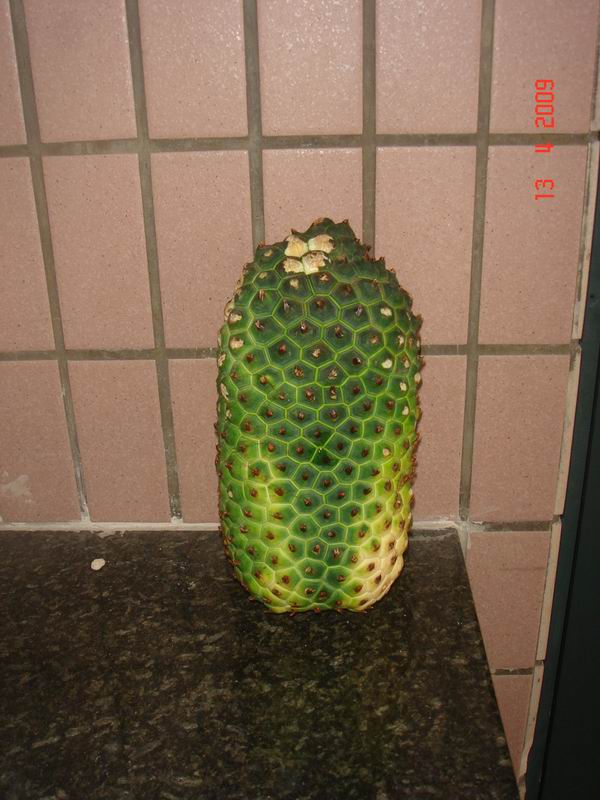 ��ת DSC03524.JPG