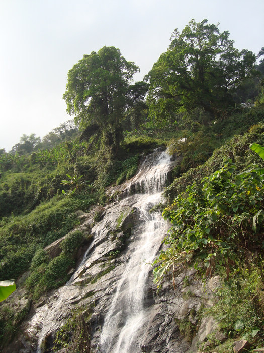 ���ϳ��� 297.JPG