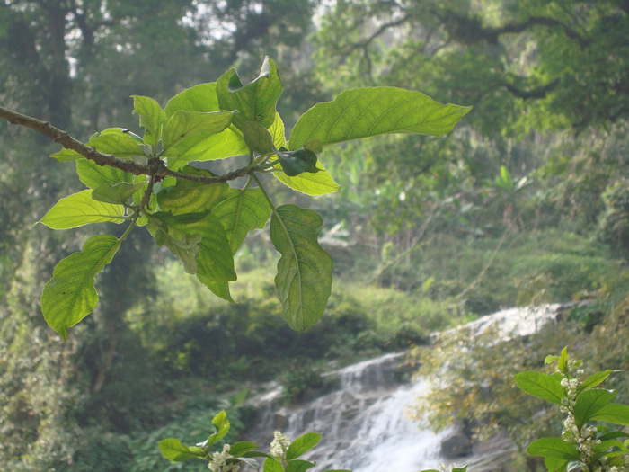 ���ϳ��� 299.JPG