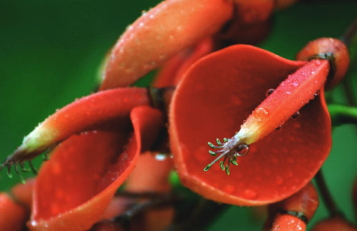 ȥ��Ҳ�����ʱ���ĵ�