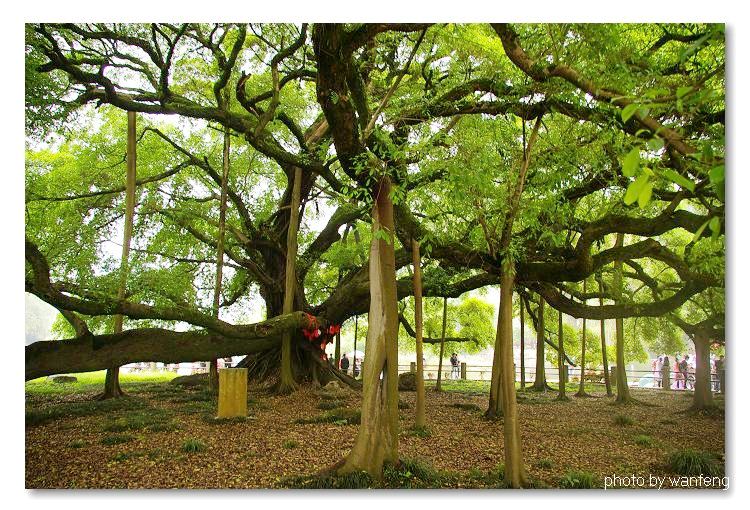 �����Ĵ�����