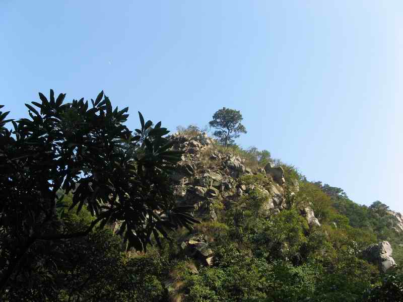 ������С IMG_1991.jpg