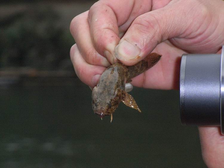 ���������콭ץ����