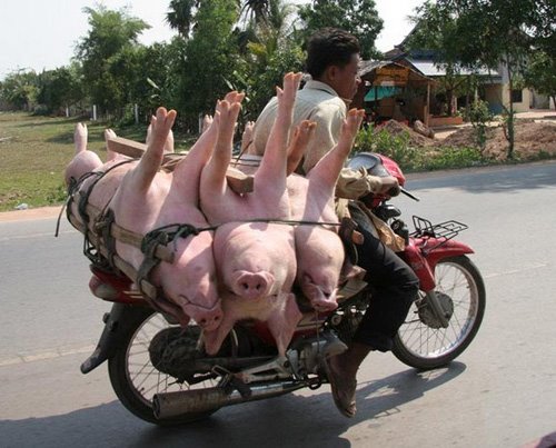 ��λ���ѵİ���!