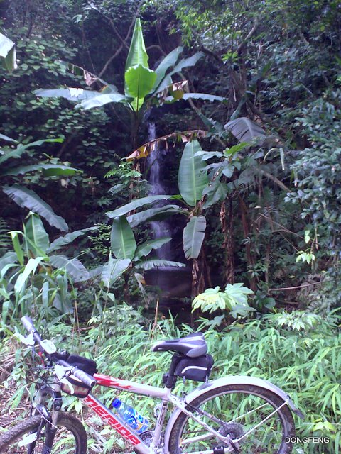 һ�����٣�������������