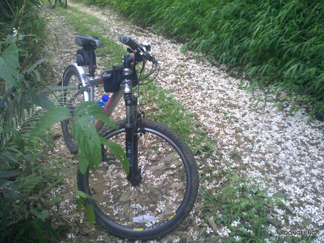 �����������ʣ��������