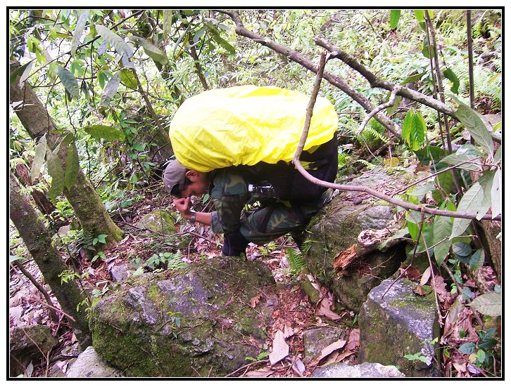 18 ����˼����.jpg